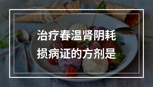 治疗春温肾阴耗损病证的方剂是