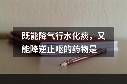 既能降气行水化痰，又能降逆止呕的药物是