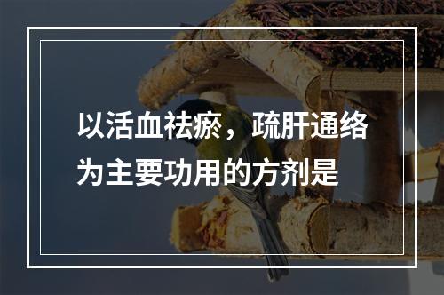 以活血祛瘀，疏肝通络为主要功用的方剂是