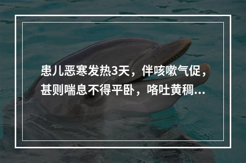 患儿恶寒发热3天，伴咳嗽气促，甚则喘息不得平卧，咯吐黄稠痰，