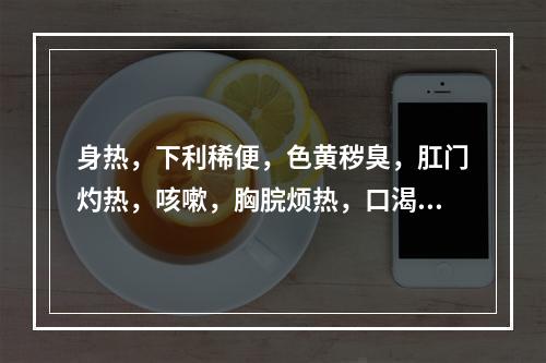 身热，下利稀便，色黄秽臭，肛门灼热，咳嗽，胸脘烦热，口渴，苔