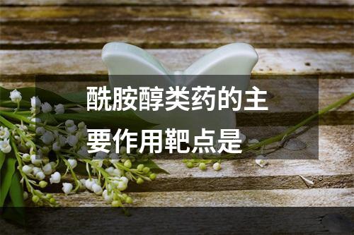 酰胺醇类药的主要作用靶点是