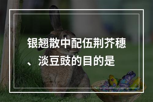 银翘散中配伍荆芥穗、淡豆豉的目的是