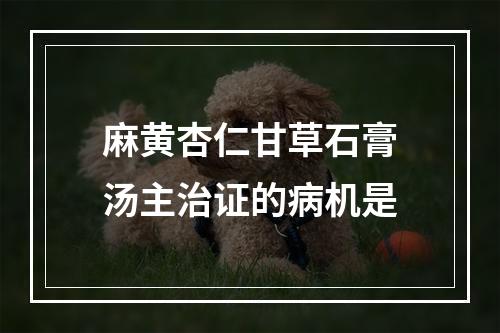 麻黄杏仁甘草石膏汤主治证的病机是