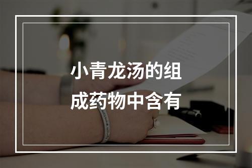 小青龙汤的组成药物中含有