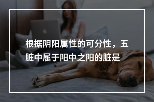 根据阴阳属性的可分性，五脏中属于阳中之阳的脏是