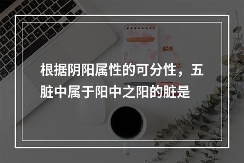 根据阴阳属性的可分性，五脏中属于阳中之阳的脏是