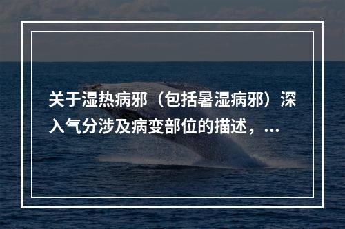 关于湿热病邪（包括暑湿病邪）深入气分涉及病变部位的描述，错误