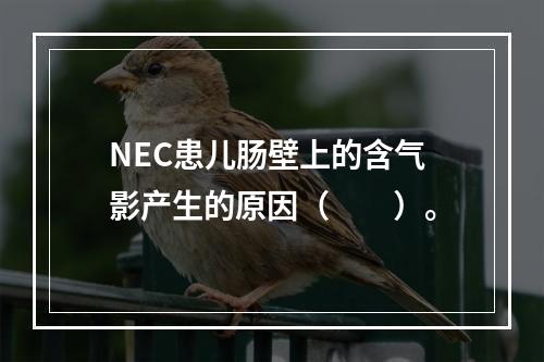 NEC患儿肠壁上的含气影产生的原因（　　）。