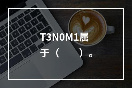 T3N0M1属于（　　）。