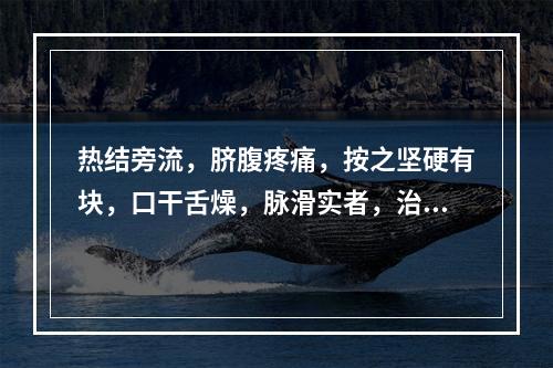 热结旁流，脐腹疼痛，按之坚硬有块，口干舌燥，脉滑实者，治宜选