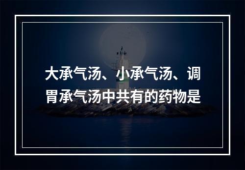 大承气汤、小承气汤、调胃承气汤中共有的药物是