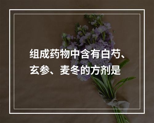 组成药物中含有白芍、玄参、麦冬的方剂是