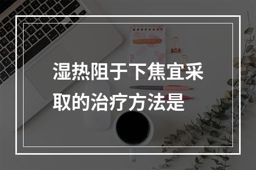 湿热阻于下焦宜采取的治疗方法是