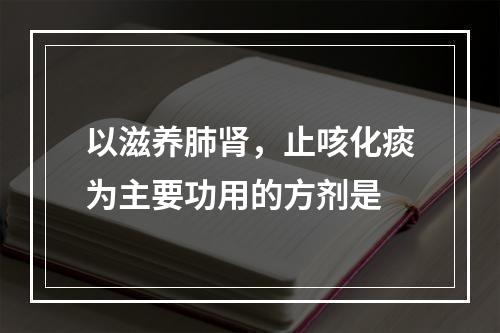 以滋养肺肾，止咳化痰为主要功用的方剂是