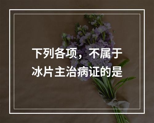 下列各项，不属于冰片主治病证的是