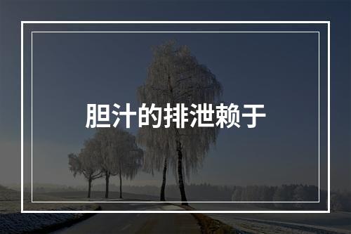 胆汁的排泄赖于