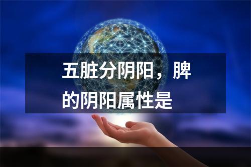 五脏分阴阳，脾的阴阳属性是