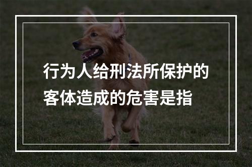 行为人给刑法所保护的客体造成的危害是指