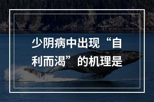 少阴病中出现“自利而渴”的机理是