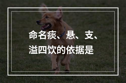 命名痰、悬、支、溢四饮的依据是