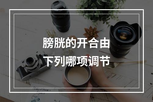 膀胱的开合由下列哪项调节