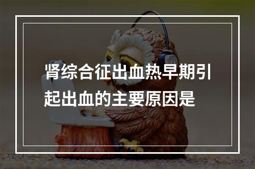 肾综合征出血热早期引起出血的主要原因是