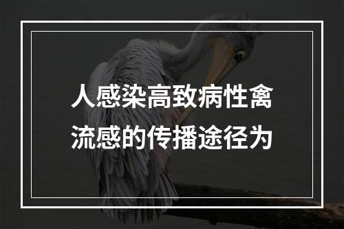 人感染高致病性禽流感的传播途径为