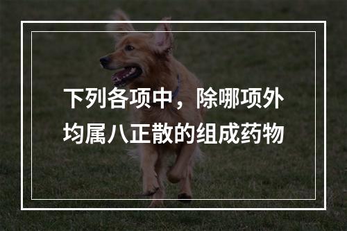 下列各项中，除哪项外均属八正散的组成药物