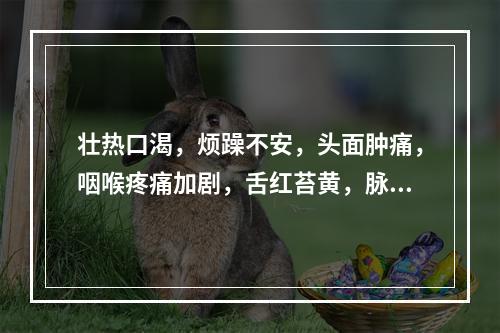 壮热口渴，烦躁不安，头面肿痛，咽喉疼痛加剧，舌红苔黄，脉数实