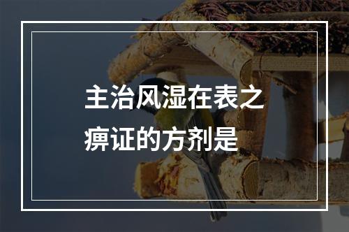 主治风湿在表之痹证的方剂是