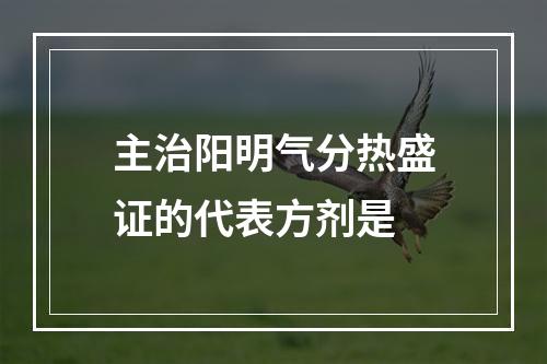 主治阳明气分热盛证的代表方剂是