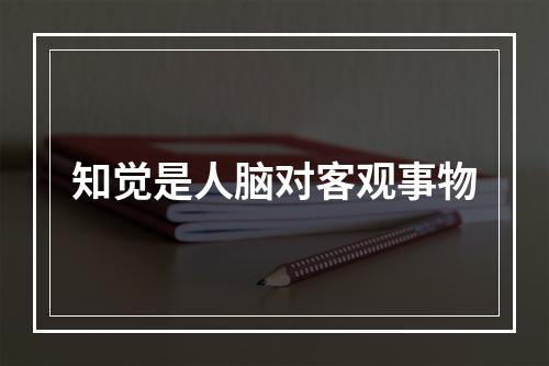 知觉是人脑对客观事物