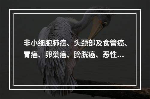 非小细胞肺癌、头颈部及食管癌、胃癌、卵巢癌、膀胱癌、恶性淋巴