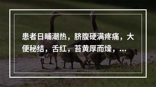 患者日晡潮热，脐腹硬满疼痛，大便秘结，舌红，苔黄厚而燥，脉沉