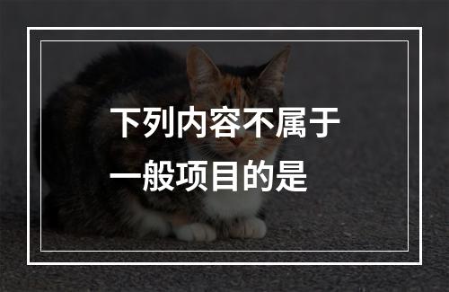 下列内容不属于一般项目的是