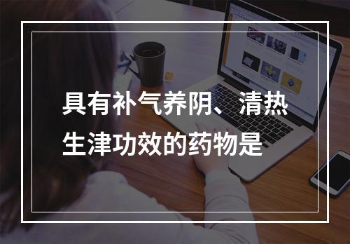 具有补气养阴、清热生津功效的药物是