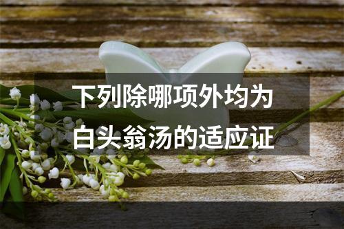 下列除哪项外均为白头翁汤的适应证