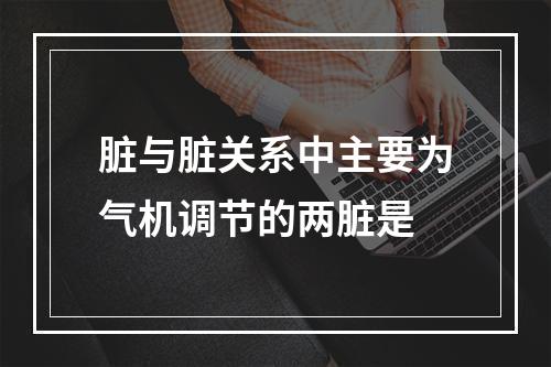 脏与脏关系中主要为气机调节的两脏是