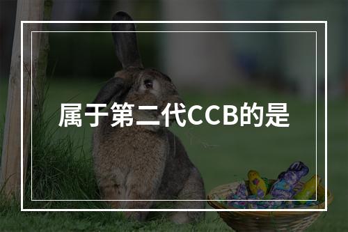 属于第二代CCB的是