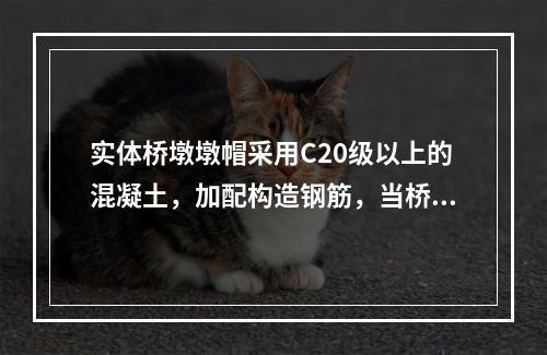 实体桥墩墩帽采用C20级以上的混凝土，加配构造钢筋，当桥墩上