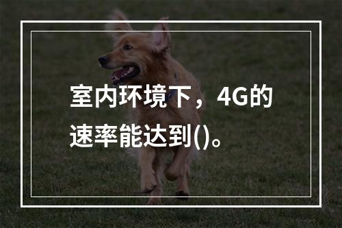 室内环境下，4G的速率能达到()。