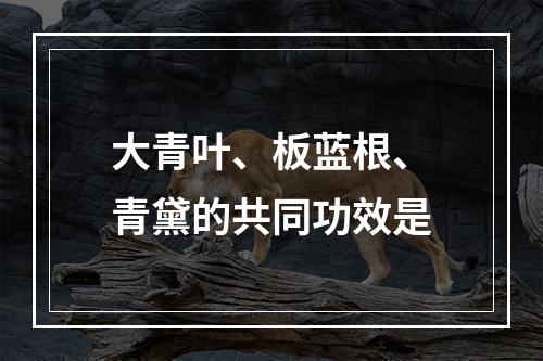 大青叶、板蓝根、青黛的共同功效是