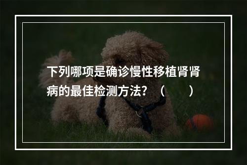 下列哪项是确诊慢性移植肾肾病的最佳检测方法？（　　）