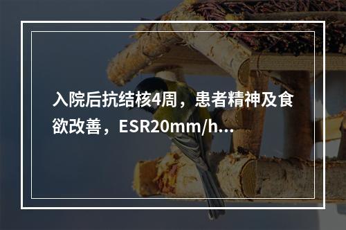 入院后抗结核4周，患者精神及食欲改善，ESR20mm/h，此