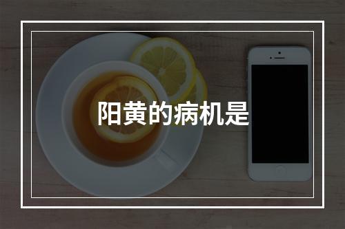 阳黄的病机是