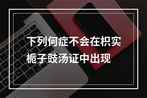 下列何症不会在枳实栀子豉汤证中出现