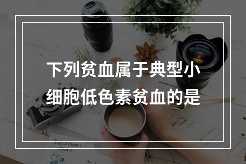 下列贫血属于典型小细胞低色素贫血的是