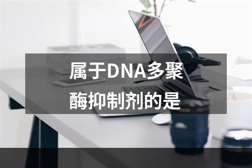 属于DNA多聚酶抑制剂的是