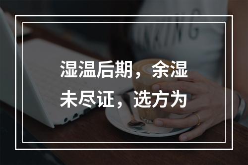 湿温后期，余湿未尽证，选方为